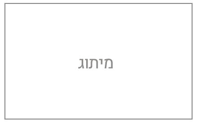 מיתוג אפור